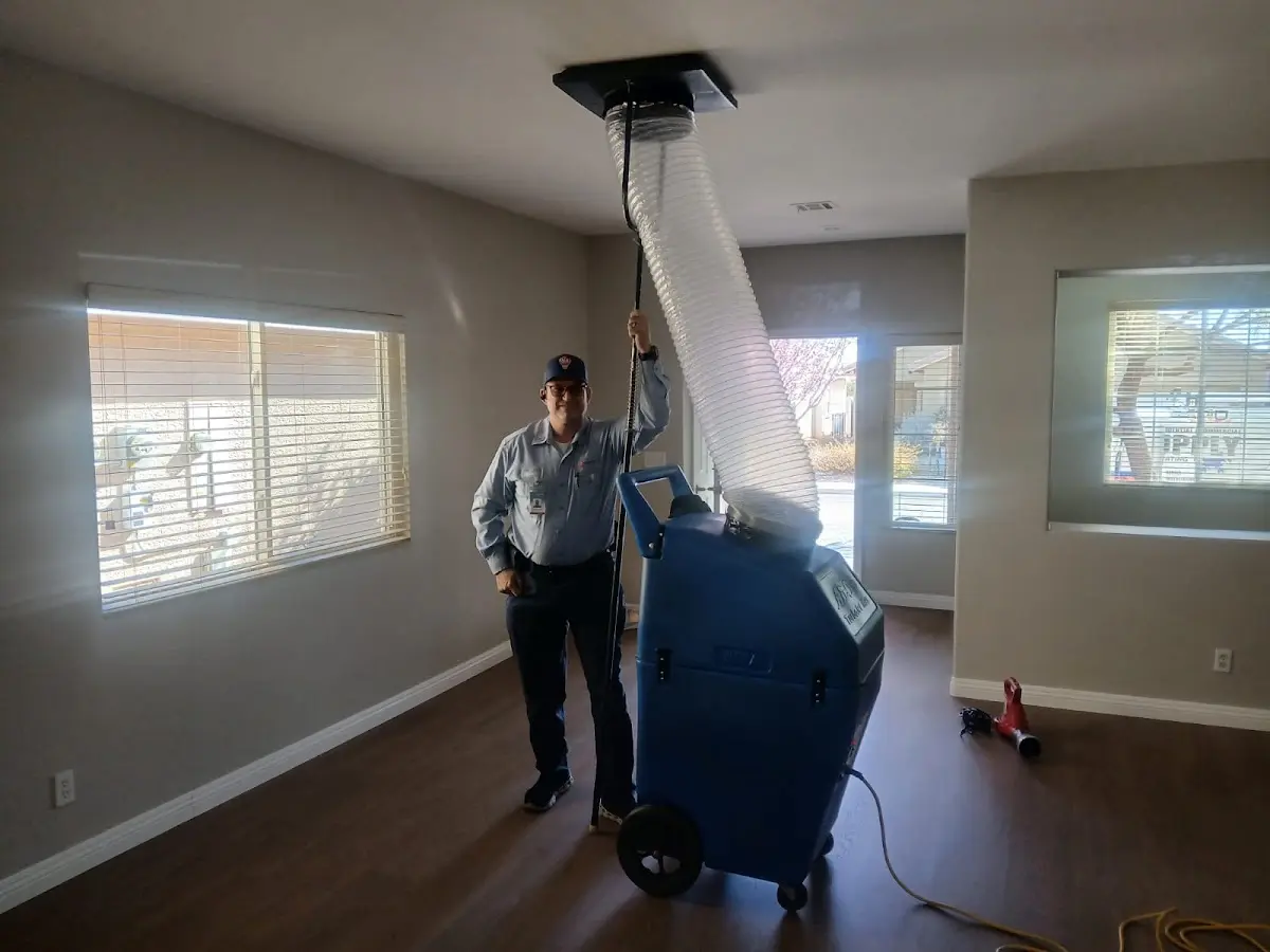 Professional Dryer Vent Cleaning work inside a Thomson home